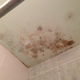 Illustration for article titled NYC Apartment War Story: The Case of the Ceiling Poop